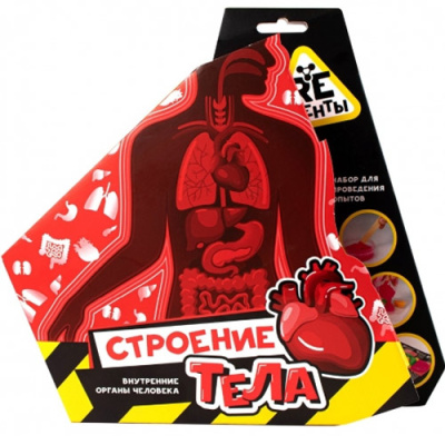 Научно-познавательный набор Строение тела Re-Агенты EX101T 1